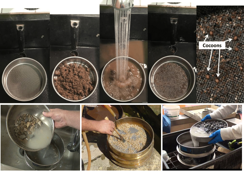 Wet Sieve Test Case