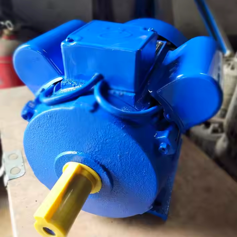 Belt conveyor motor